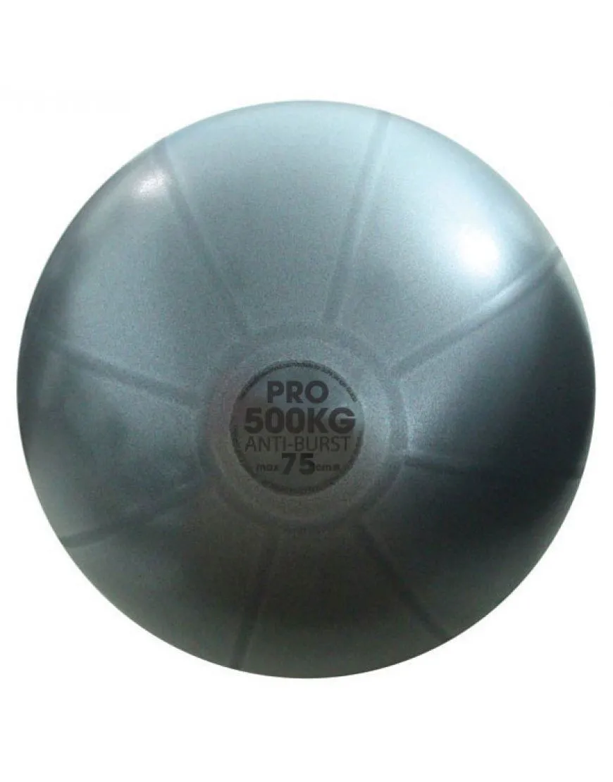 Fitness Mad 500Kg Studio Professional Fitness Swiss Ball Only