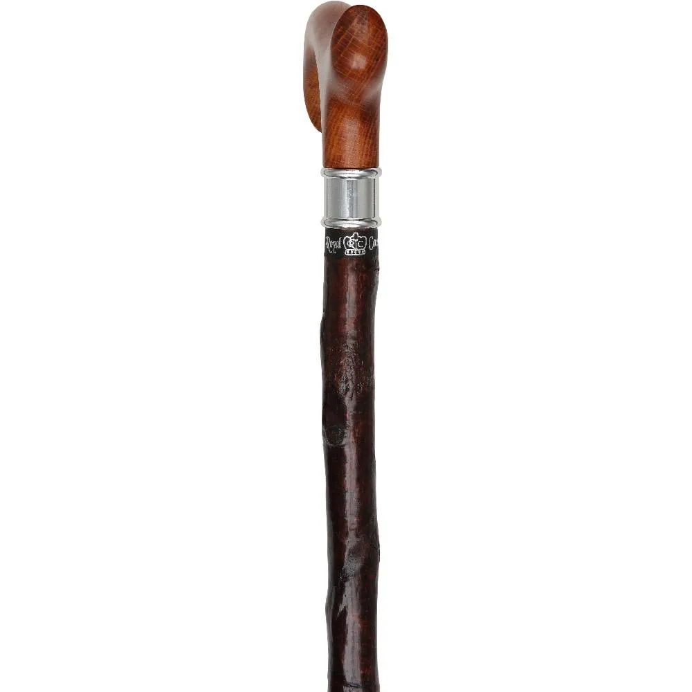 Genuine Blackthorn Wood Derby Walking Cane With Beech wood Handle and Silver Collar